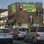 Samidesigns Tauranga